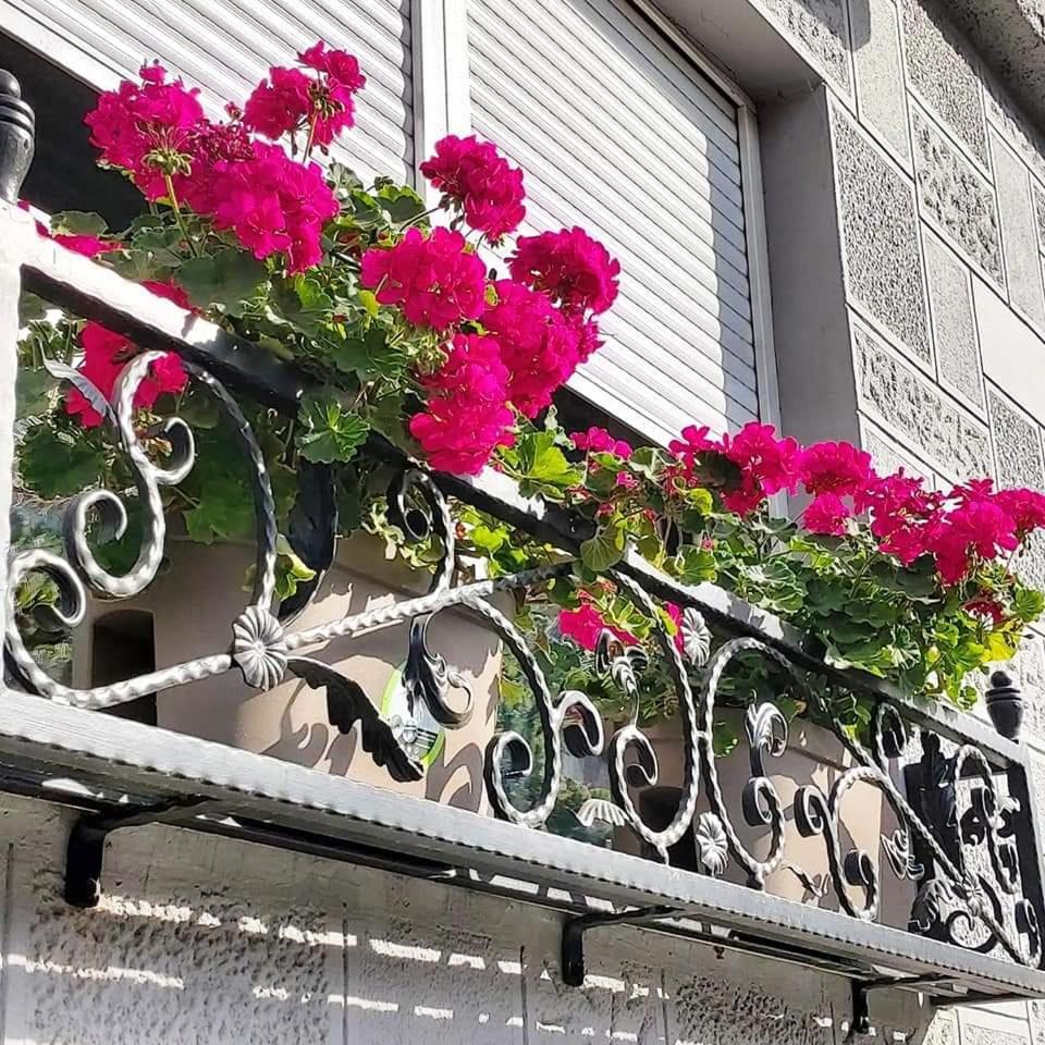 ורסאק Hills Apartments מראה חיצוני תמונה